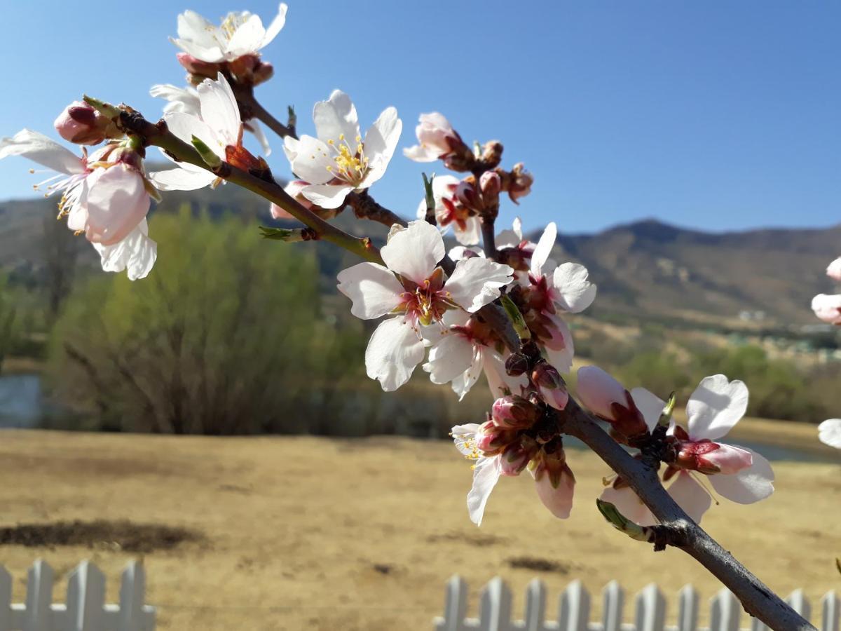 Lake Clarens Guest House ภายนอก รูปภาพ