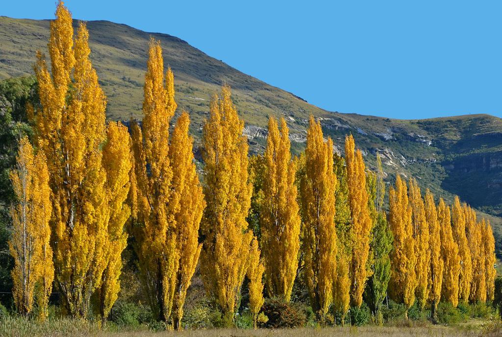 Lake Clarens Guest House ภายนอก รูปภาพ