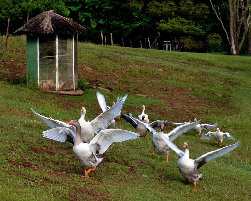 Lake Clarens Guest House ภายนอก รูปภาพ